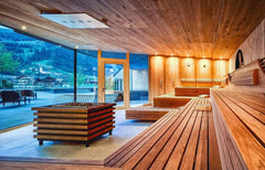 Contemporary Sauna